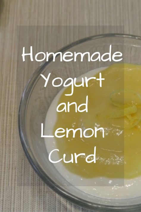 Making yogurt topped with lemon curd at home is easy! Skip the pasteurized milk, fillers, and sugar in store-bought yogurt for a delicious homemade version. #foodismedicine #NTP #traditionalfoods #cultureddairy #grass-feddairy #rawmilk #reclaimingvitality Homemade Lemon Yogurt, Noosa Yogurt, Yogurt Starter Culture, Lemon Greek Yogurt, Pasteurized Milk, Fermented Veggies, Making Yogurt, Healthy Greek Yogurt, Lemon Yogurt