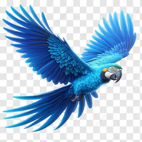 Blue Macaw, Macaw Parrot, Parrot, Blue