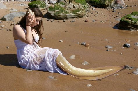 Mermaid Videos Real Life, Real Mermaids Photos, Real Mermaid Videos, Real Mermaids Found, Real Life Mermaid Found, Mermaids Exist, Mermaid History, Mysterious Sea Creatures, Cool Sea Creatures