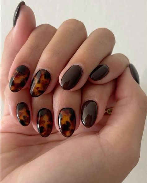 Natural Nails Fall Design, Short Nail Inspo Fall 2024, Fall Nails Designs Short, Fall Short Nails Ideas, 2024 Fall Nails, Short Fall Nails 2024, Carey Nails, Tortishell Nails Design, Otoño Nails