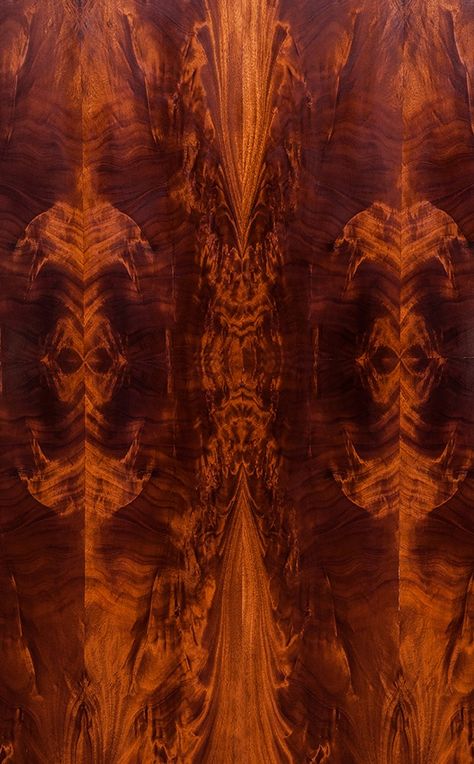 Mahogany Crotch Wood Veneer - polished - New Delhi, India Woodworking Organization, Basic Woodworking, Desk Diy, Woodwork Projects, Woodworking Cabinets, Woodworking Bed, Woodworking Basics, Intarsia Woodworking, Woodworking Logo