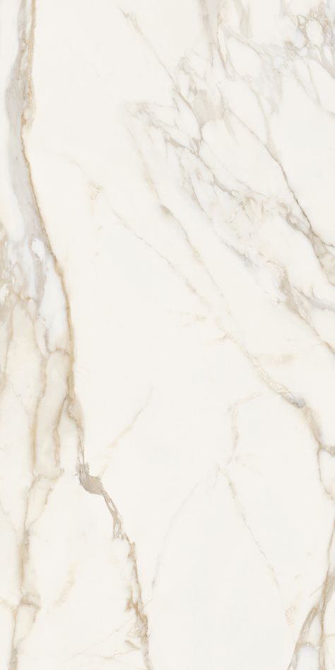 Emilia Calacatta Matte 24"x48 Porcelain Tile | GENROSE Quartz Countertops Cambria Surfaces, Calacatta Quartz Kitchen Countertops, Porceline Tile, Marble Sample, Tile Flooring Ideas, Luxurious Flooring, Cream Tiles, White Marble Tile Floor, Marble Porcelain Tile