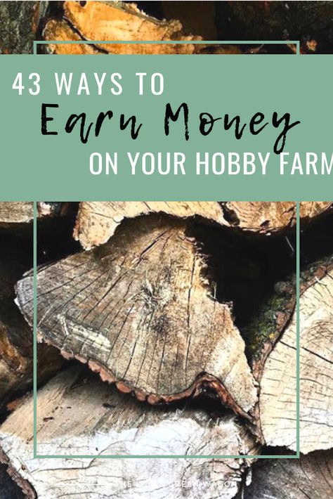 43 Ways to Make Money on Your Hobby Farm Homesteading For Profit, Ways To Make Money On A Farm, Making Money On A Farm, Ways To Make Money On A Homestead, Making Money From Homestead, Homestead Products To Sell, Farm Stand Items To Sell, Cow Farm Ideas, Hobby Farm Aesthetic