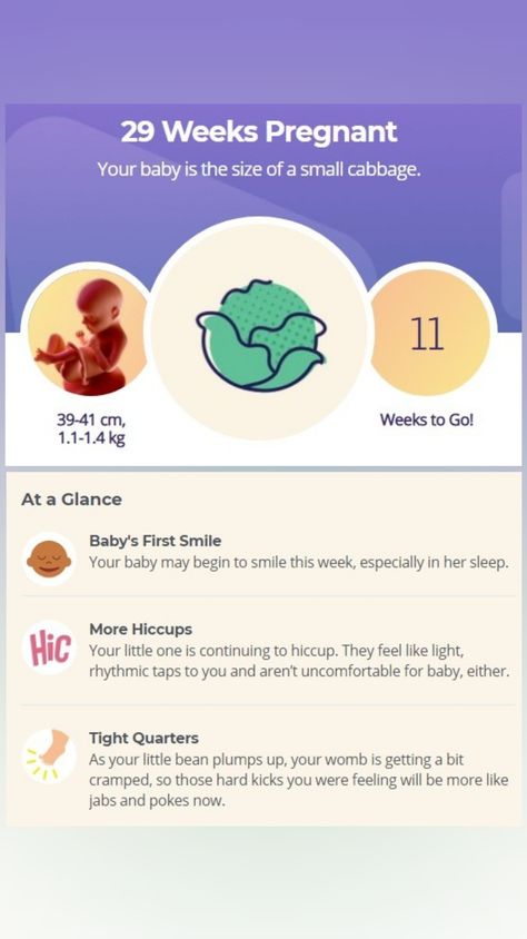 29 Week Pregnancy, Pregnancy Development, Baby Development Chart, 29 Weeks Pregnant, Baby Countdown, Baby Development Activities, 5 Month Old Baby, Weeks Of Pregnancy, 31 Weeks Pregnant