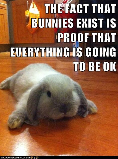 THE FACT THAT BUNNIES EXIST IS PROOF THAT EVERYTHING IS GOING TO BE OK Benny And Joon, Somebunny Loves You, Funny Rabbit, Pet Bunny, Diy Spring, Funny Bunnies, Baby Bunnies, Hamsters, Funny Animal Pictures