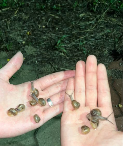 #snails #aesthetic #snailaesthetic #cottagecore #garden #gardencore #nature Snail Aesthetic, Cos Campaign, Children Of The Forest, Cottagecore Garden, Goofy Cats, Snails In Garden, Cottagecore Country, Creepy Crawlers, Small Creatures