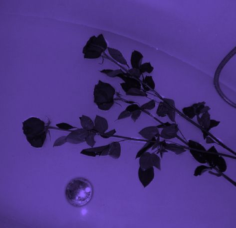 Dark Purple Love Aesthetic, Romantic Purple Aesthetic, Darkish Purple Aesthetic, Purple Romantic Aesthetic, Purple Woman Aesthetic, Punk Purple Aesthetic, Purple Plant Aesthetic, Dark Purple Flowers Aesthetic, Goth Aesthetic Purple