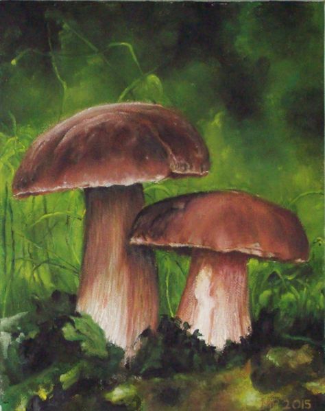 Brown Mushroom Painting, Mushroom Scene Painting, Mushroom Painting Realistic, Mushroom Pastel Drawing, Oil Pastel Mushroom Drawing, Painting Mushrooms On Rocks, Dark Mushroom Painting, Mushrooms Acrylic Painting, Painting Mushrooms Acrylic