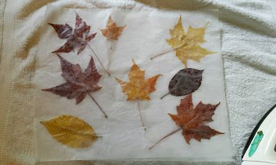 Upcy: Preserving Leaves with Wax Paper DIY Leaves In Wax Paper, Wax Paper Leaves, Preserving Leaves, Pressing Leaves, Paper Leaves, Paper Diy, Dry Leaf, Wax Paper, Plant Life