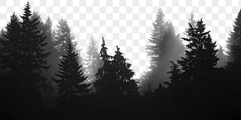 Forest Png Aesthetic, Dark Forest Background, Fog Png, Forest Border, Forest Texture, Black And White Forest, Border Transparent, Wood Png, Png Border