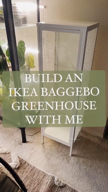 🍃🪴 LAZY IKEA GREENHOUSE FOR YA 🪴🍃 ... Baggebo edition. I seriously can't wait to buy more plants and fill this bad boi!!!! What plants should I buy? PS: Add a fan and your cabinet will pretty much be good to go. If you're lazy like me, air it out daily and poke holes in the soil to make sure they get that airflow going. Ikea Greenhouse Cabinet Vegetables, Ikea Cabinet For Plants, Plant Ikea Cabinet, Ikea Hack Greenhouse, Diy Ikea Plant Cabinet, Indoor Plant Enclosure, Ikea Plant Hack, Diy Plant Cabinet Indoor, Ikea Hacks Plants