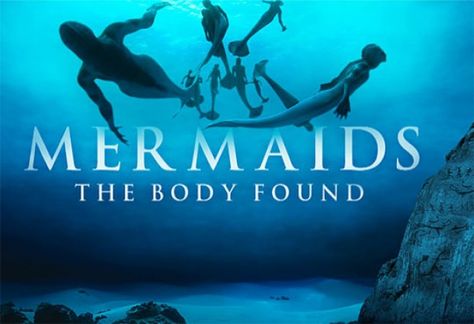 discovery channel mermaids | ... TV: Mermaids on the Discovery Channel Jim Vorel Herald-Review.com Mermaids The Body Found, Real Life Mermaid Found, Mermaid Found, Real Life Mermaids, Real Mermaids, Discovery Channel, Fairy Book, Marine Biology, Fairy Land