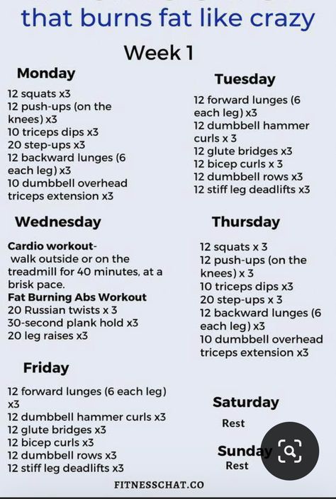 Workout Gym Routine, Gym Workout Plan For Women, Workout Routines For Beginners, Workout Plan For Beginners, Workout Plan For Women, Gym Routine, Body Workout Plan, Workout Plan Gym, At Home Workout Plan