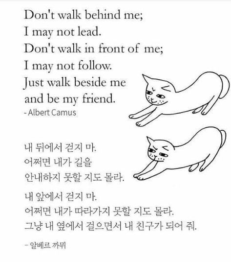 Korean Poetry, Korean Reading, Korean Grammar, Korea Quotes, Learning Korean Grammar, Korean Text, Korean Study, Learn Korean Alphabet, Easy Korean Words