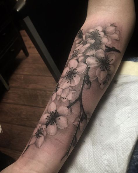 Gefällt 1052 Mal 37 Kommentare Juan Teyer (J #cherryblossom #Gefällt #Juan #Kommentare #mal Forearm Flower Tattoo, Forarm Tattoos, Forearm Sleeve Tattoos, Vine Tattoos, Cat Tattoos, Inspiration Tattoos, Flower Tattoo Sleeve, Tiny Tattoo, Japanese Sleeve Tattoos