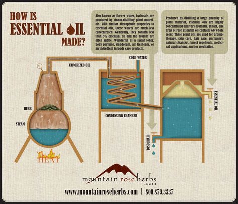 How is Essential Oil Made? Oil Distiller, Essential Oil Distiller, Mountain Rose, Mountain Rose Herbs, What Are Essential Oils, Making Essential Oils, Diy Essentials, Steam Distillation, Energy Generator