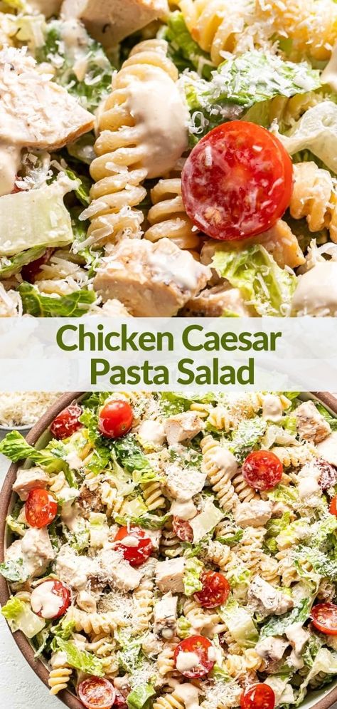 If you love chicken Caesar salad then you'll love this creamy chicken Caesar pasta salad! It's loaded with chicken, romaine lettuce, pasta, tomatoes, Parmesan cheese, and a creamy homemade Caesar dressing. Perfect for summer barbecues, picnics, and potlucks! #pastasalad #saladrecipes #chickencaesarsalad #caesarsalad #healthyrecipes #sidedish #summerrecipes Homemade Caesar Dressing, Chicken Caesar Pasta, Chicken Caesar Salad Recipe, Caesar Pasta Salad, Homemade Caesar, Caesar Pasta, Chicken Caesar Pasta Salad, Caesar Salad Recipe, Chicken Caesar