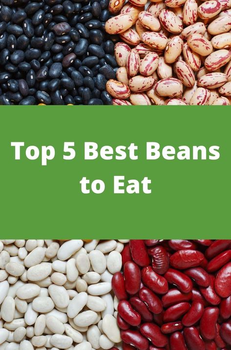 Top 5 Best Beans to Eat Cooking Frozen Green Beans, Beans Recipe Healthy, Bean Diet, Beans Benefits, Dry Beans Recipe, Gerd Recipes, Healthy Beans, Mind Diet, Frozen Green Beans