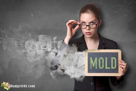 Get Rid Of Mold Smell, Mold Smell, Clean Your Oven, Tooth Repair, Hyperbaric Oxygen Therapy, Mold Exposure, Toxic Mold, Dishwasher Tablets, Bread Mold