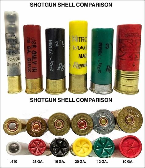 Tactical Gear Loadout, Shotgun Shell, Survival Skills, Tactical Gear, Winchester, Hunting