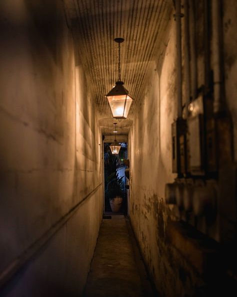 Moody French, Urban Photography Portrait, Southern Aesthetic, Vampire Wedding, Creole Cottage, A Streetcar Named Desire, House Sitter, New Orleans French Quarter, Old Bar