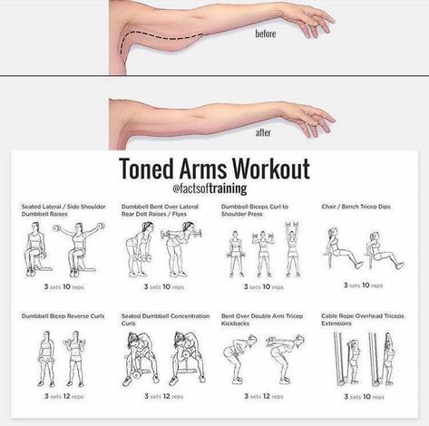 Work out dump - Album on Imgur Arm Exercises With Weights, Fitness Training Plan, Tone Arms Workout, Motivasi Diet, Arm Workout Women, Gym Antrenmanları, Arms Workout, Trening Fitness, Body Workout Plan