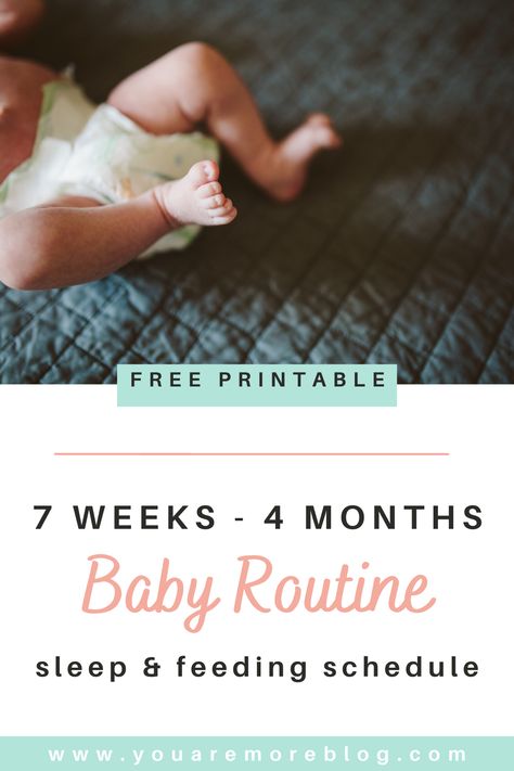 Sleep and feeding routine for your 7 week old baby. 7 weeks to 4 months baby routine. #baby #routine #sleeptraining Routine For Newborn, Newborn Tips, 4 Month Baby, Baby Routine, Pregnancy Info, Baby Schedule, Baby Kicking, Pregnancy Information, Pumping Moms