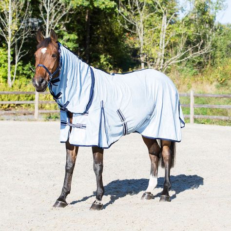 Summer Insects, Horse's Neck, Fly Control, Horse Blanket, Harness Racing, Horse Fly, Types Of Horses, Leg Straps, Neck Cover