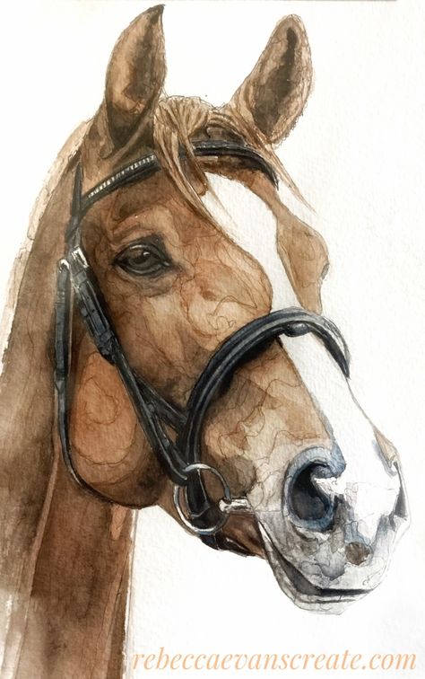 Horse Images Drawing, Horse Art Watercolor, Cool Horse Drawings, Horse Painting Simple, Drawing Ideas Horse Sketch, Horse Drawing Watercolor, Drawing A Horse Step By Step, Easy Horse Painting Ideas, Paint Horse Drawing