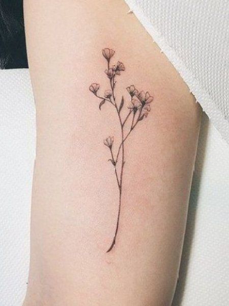 Baby Breath Tattoo, Botanisches Tattoo, Men Flower Tattoo, Delicate Flower Tattoo, Full Sleeve Tattoo Design, Beautiful Flower Tattoos, Tattoo Zeichnungen, Muster Tattoos, Floral Tattoo Sleeve