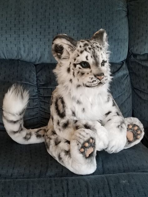 Snow Leopard Plush, Cute Teddy Bear Pics, Teddy Bear Clothes, Cute Bunny Cartoon, Teddy Bear Pictures, Cute Small Animals, Cute Fantasy Creatures, Bear Pictures, Fur Fabric