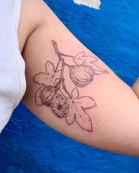 Fig Tree Branch Tattoo, American Traditional Fig Tattoo, Fig Plant Tattoo, Fig Branch Tattoo, Fig Branch, Figs On Branch Line Art, Fig Leaf Tattoo, Fig Tree Tattoo, Fig Tattoo