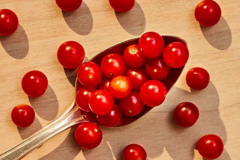 Spoon Tomatoes Are The Most Adorable Southern Snack Spoon Tomatoes, Southern Living Recipes, Tomato Recipe, Breakfast Party Foods, Easy Dinner Casseroles, Breakfast Party, Etiquette And Manners, Quick Easy Dinner, Mardi Gras Gifts