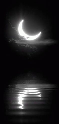 Night Nature GIF - Night Nature Moon - Discover & Share GIFs Shoot The Moon, Moon Pictures, Sun Moon Stars, Good Night Moon, Beautiful Moon, Moon Glow, Moon Magic, Moon Art, Blue Moon