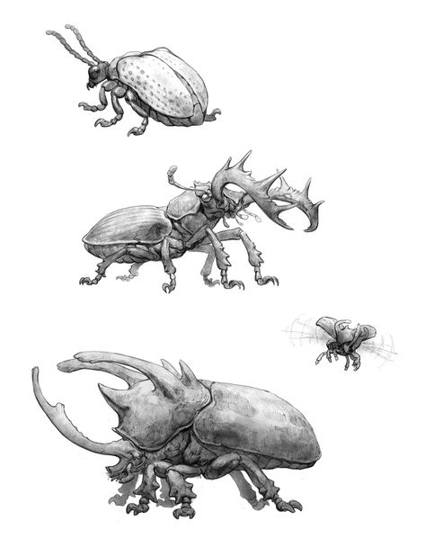 ArtStation - Glorantha Bestiary: Bugs, Cory Trego-Erdner Fantasy Bug Art, Bug Creature Design, Cool Bug Drawings, Fantasy Insect Art, Arthropods Drawing, Beetle Concept Art, Bug Creature, Bug Monster, Beetle Drawing