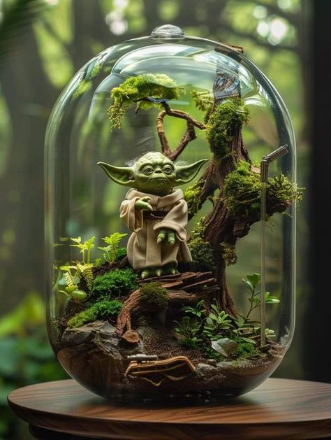 Star Wars Garden, Horticulture Projects, Star Wars Office, Small Terrarium, Terrarium Ideas, Beautiful Terrariums, Inside Plants, Garden Mini, Garden Terrarium