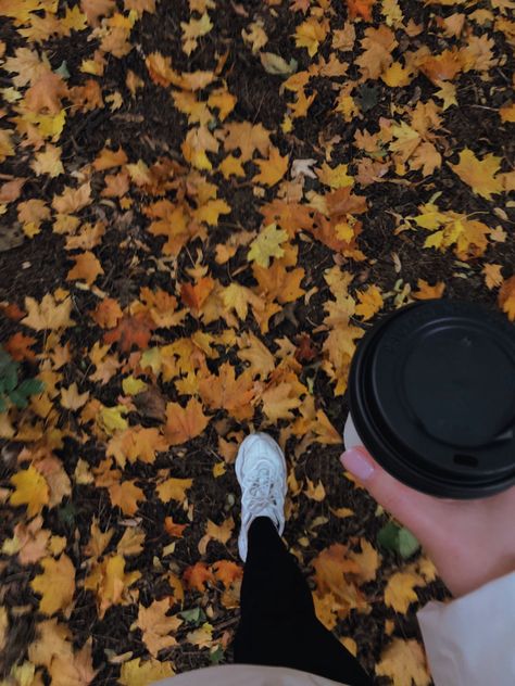 Workout Fall Aesthetic, Fall Health Aesthetic, Running Fall Aesthetic, Autumn Walks Aesthetic, Fall Walks Aesthetic, Cozy Sunday Aesthetic, Fall Running Aesthetic, Fall Walk Aesthetic, September Vision Board Aesthetic