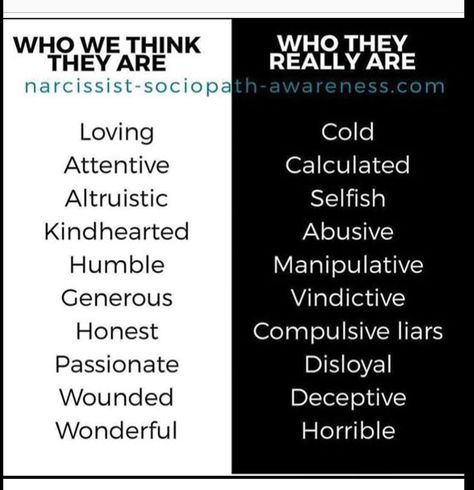 Sociopathic Characters, Sociopathic Tendencies, Compulsive Liar, Dark Triad, Art Quotes Funny, Manipulative People, Flying Monkeys, Narcissistic People, Church Quotes