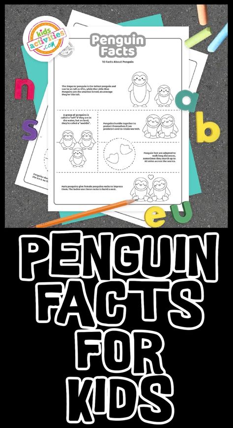 Printable Fun Penguin Facts for Kids To Print and Learn | Kids Activities Blog Penguin Facts, Penguin Activities, Facts For Kids, Kids Activities, Favorite Child, Fun Learning, Best Mom, Penguins, Activities For Kids