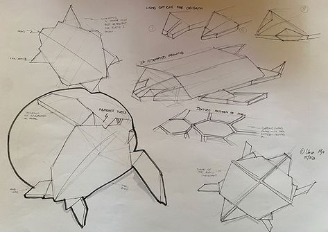 Turtle Design Concept Architecture, Turtle Concept Architecture, Turtle Biomimicry, Sea Turtle Sketch, Turtle Sketch, Sea Turtle Shell, Land Turtles, Water Turtle, Concept Draw