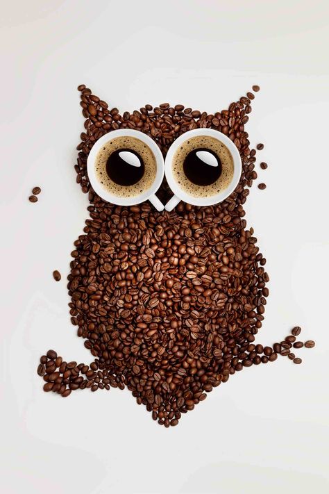 Coffee Bean Owl Coffee Bean Art, Owl Kitchen, Seed Art, Funny Owls, Owl Design, Coffee Love, Wall Art Pictures, Coffee Art, Photo Canvas