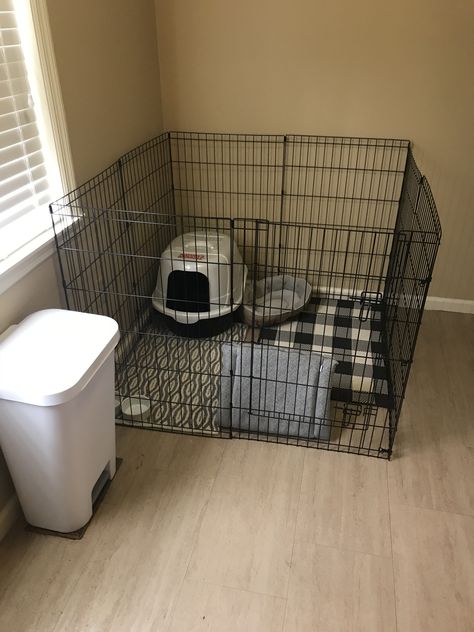 Small Bunny Enclosure Indoor, Bunny In Bedroom, Bunny Pen Ideas, Bunny Necessities, Bunny Set Up, Bunny Set Up Indoor, Bunny Set Up Indoor Cute, Bunny Play Pen, Bunny Enclosure