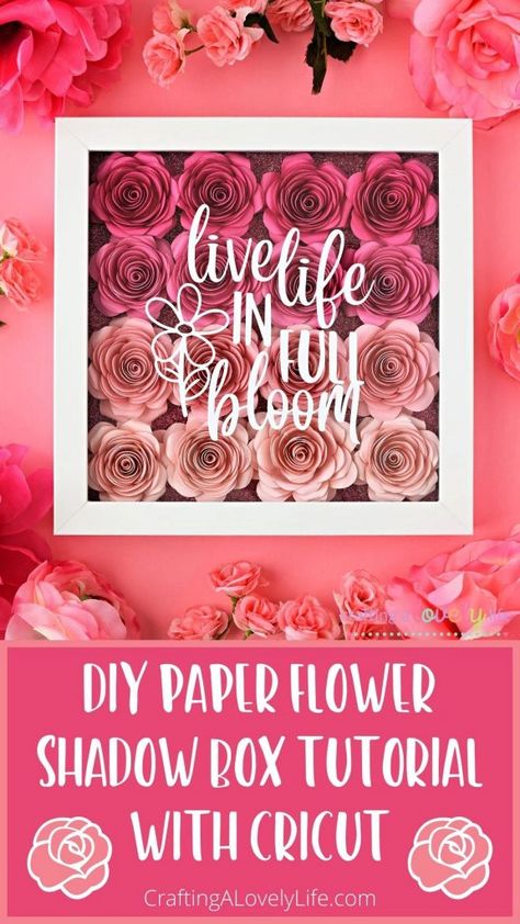 Flower Shadow Box Ideas, Paper Flower Shadow Box, Shadow Box Ideas, Shadow Box Gifts, Rolled Paper Flowers, Flower Shadow, Diy Shadow Box, Shadow Frame, Using Cricut