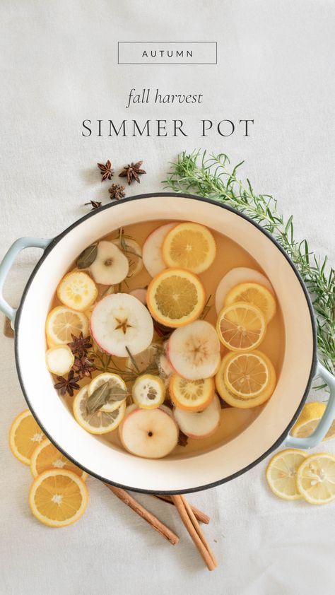 When we think of fall we think of the warm scent of cinnamon, apples, and fallen leaves. This simmer pot recipe ties in all of those scents to make your home smell like fall! Simmer Pot With Apples, Apple Simmer Pot Recipes, Fall Simmer Pot, Home Smell Like Fall, Pot Potpourri, Smell Like Fall, Simmering Pot, Canning Apples, Simmer Pots