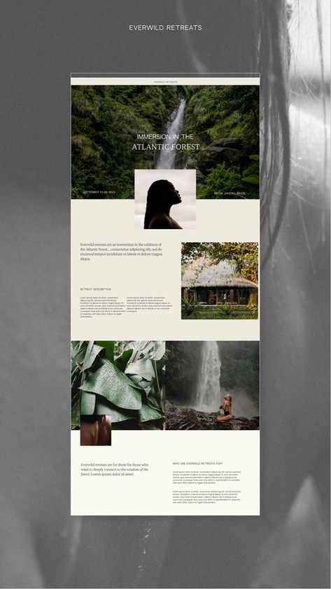 everwild retreats — studio folha Spiritual Website, Therapy Website, Squarespace Website Templates, Wellness Retreat, Web Design Studio, Modern Website, Website Design Layout, Sales Page, Web Graphic Design