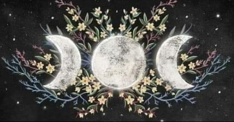 Aesthetic Facebook Cover, Witch Aesthetic, Facebook Cover Photos, Grand Opening, Facebook Cover, Cover Photos, The Moon, Rush, Witch