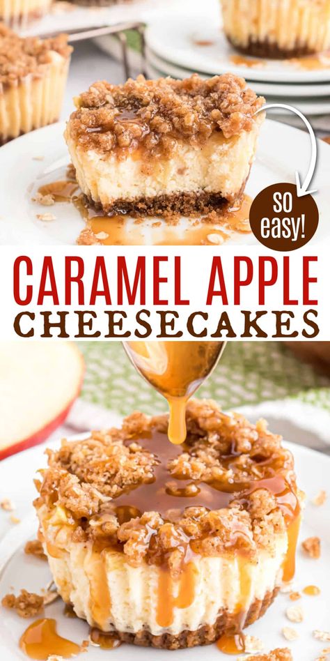 Mini Caramel Apple Cheesecakes are delicious, individual cheesecakes with a brown sugar streusel and caramel glaze. Easy to make too! Caramel Apple Mini Cheesecakes, Mini Caramel Apple Cheesecake, Caramel Apple Cheesecake Cups, Mini Apple Cheesecake, Carmel Desserts, Caramel Apple Cheesecake Recipes, Apple Cheesecake Recipes, Bake Cheese, Individual Cheesecakes