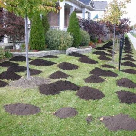 Lawn Leveling, Lawn Roller, Mushroom Compost, Types Of Grass, Lawn Care Tips, Healthy Lawn, Grasses Garden, Lawn And Landscape, Garden Equipment