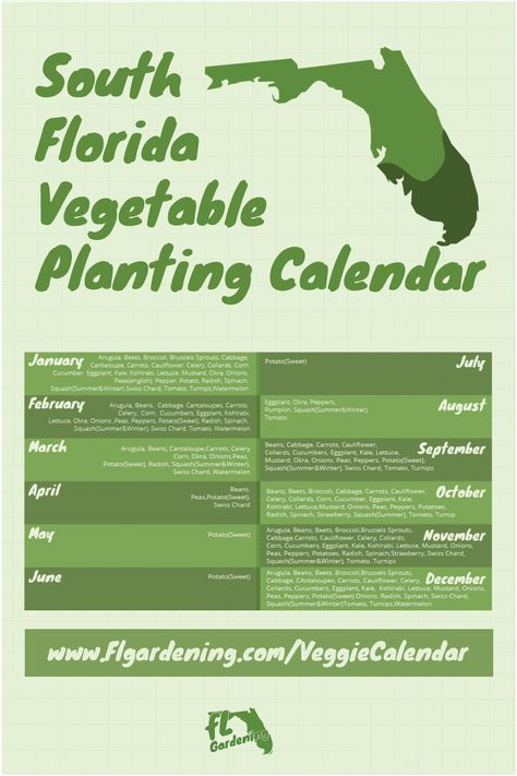 South Florida Gardening, What To Plant When, Vegetable Planting Calendar, Vegetable Planting, Florida Garden, Florida Landscaping, Planting Calendar, Florida Plants, Florida Gardening