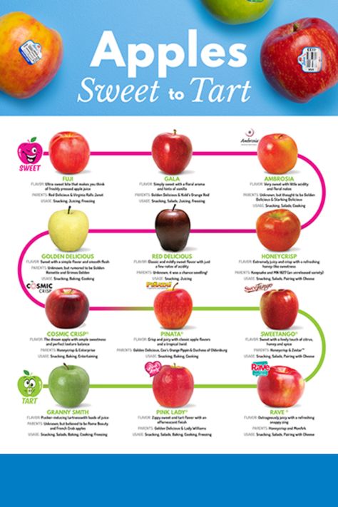 With all the apple varieties there has to be a way to put them in order. Say hello to the Apple Sweetness Scale: a placement map of apples ranging from the sweetest to tartest. This chart is great for when you can't quite pick the flavor you are after. 🍏 🍎 If you are looking for where your favorite apple lands, click the link and tell us if you prefer sweet or tart! Sweetest Apples Chart, Apple Chart, Fruit Facts, Apple Chai, Fruit Nutrition, Power Snacks, Fresh Snacks, Apple Types, Cherry Apple